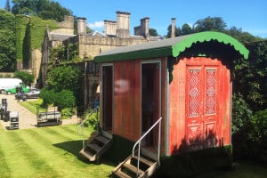 Marquee premium toilets