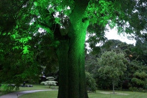 outdoor marquee lighting