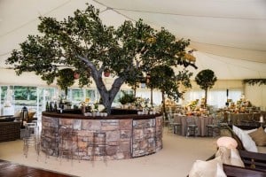 Tree in wedding marquee