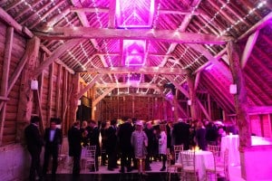 Barn with LED & PeaLights