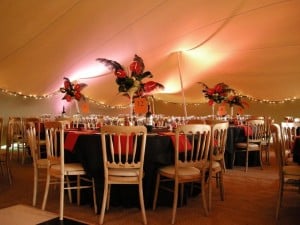 Stretch tent marquee party decor