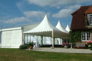 clear roof pagoda tent