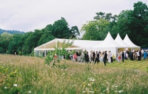 Sophisticated marquee lighting and decor Surrey