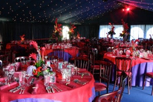opulent marquee theme