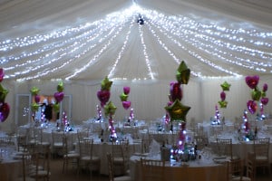 sparkling christmaas marquee