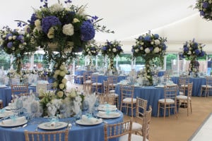 blue wedding theme