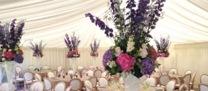 Bloomsters Wedding Florists