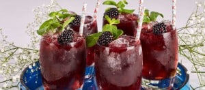 Mojito Vanilla Bean Catering