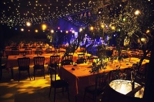 Wedding venue