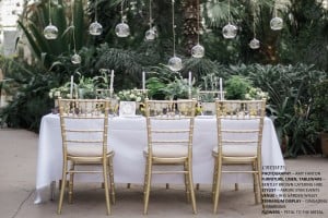 Wedding Chairs