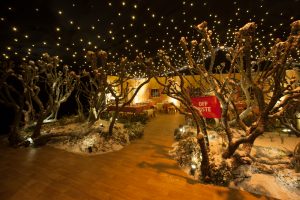 Winter Marquee Hire, Winter and Christmas marquees displaying trees covered with snow and a black starcloth ceiling featuring pea lights
